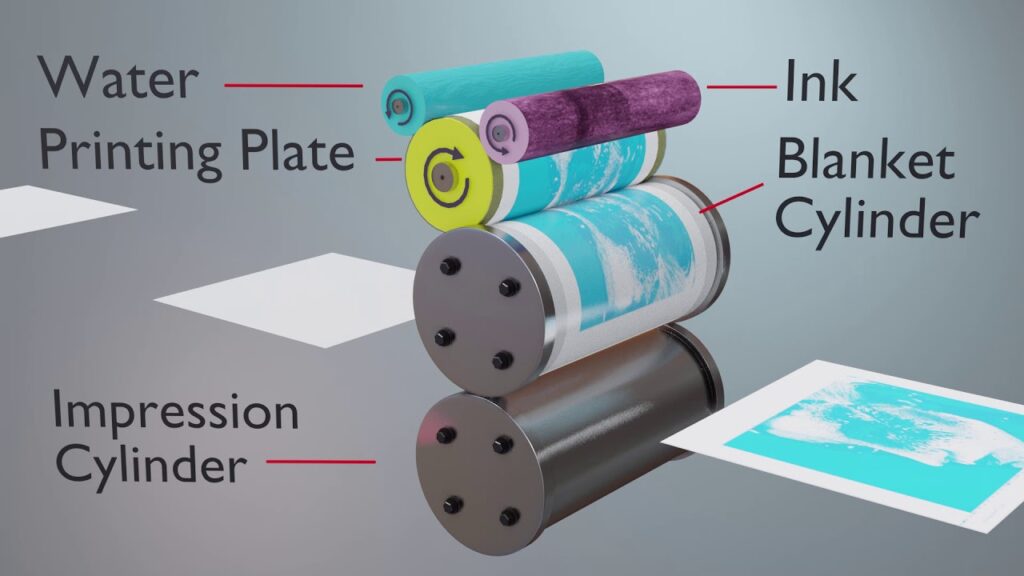 A detailed diagram showing the role of the blanket cylinder in the offset printing process, with arrows indicating how the image transfers from the plate to the blanket and then to the substrate