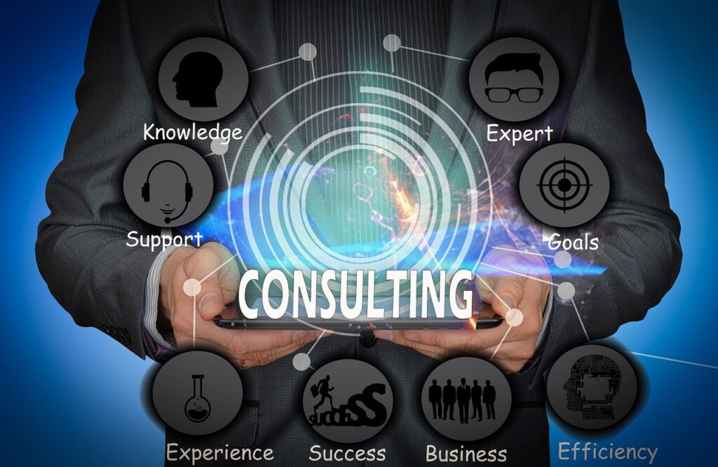  Business management consultants as external experts for organizations.